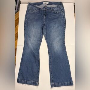 Torrid Blue Flare Women's Jeans